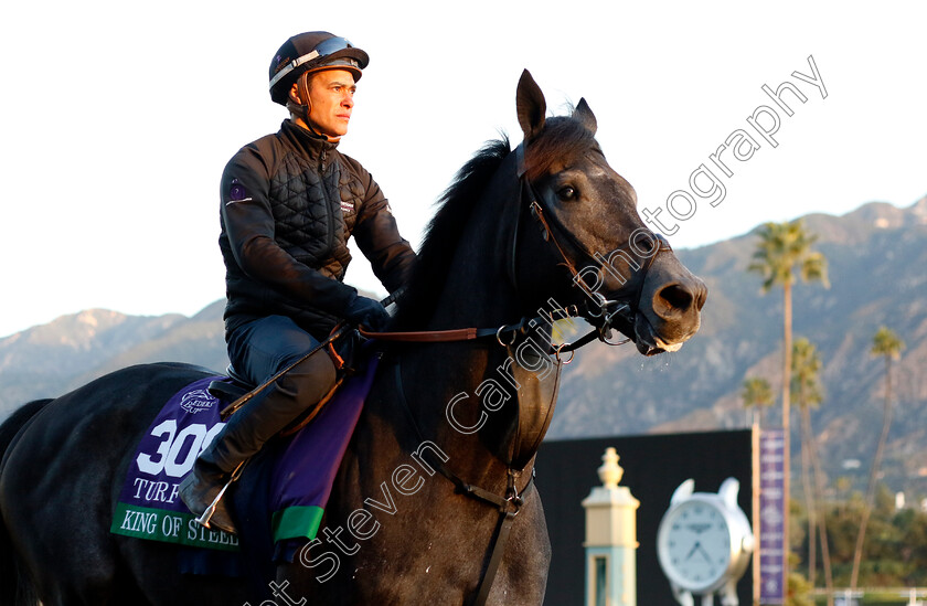 King-Of-Steel-0002 
 KING OF STEEL training for the Breeders' Cup Turf
Santa Anita USA, 1 Nov 2023 - Pic Steven Cargill / Racingfotos.com