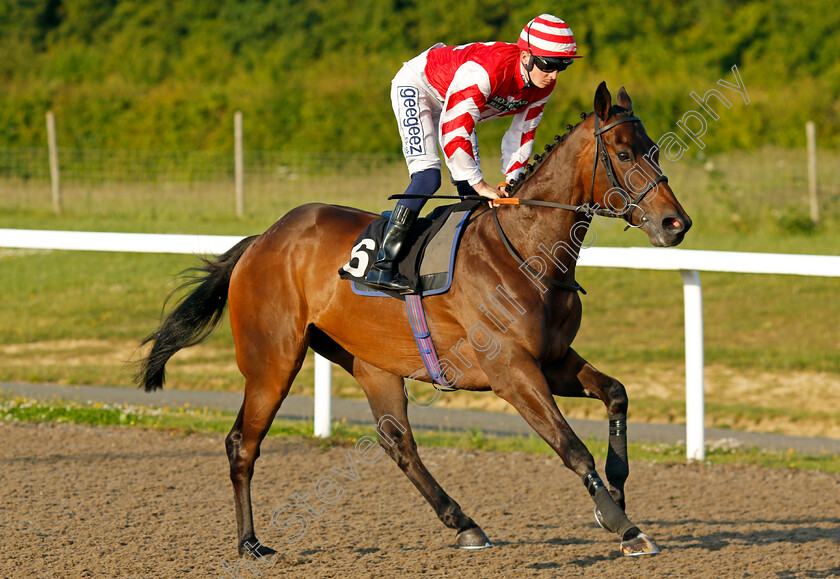 Sharpcliff-0003 
 SHARPCLIFF (David Probert)
Chelmsford 7 Jun 2022 - Pic Steven Cargill / Racingfotos.com