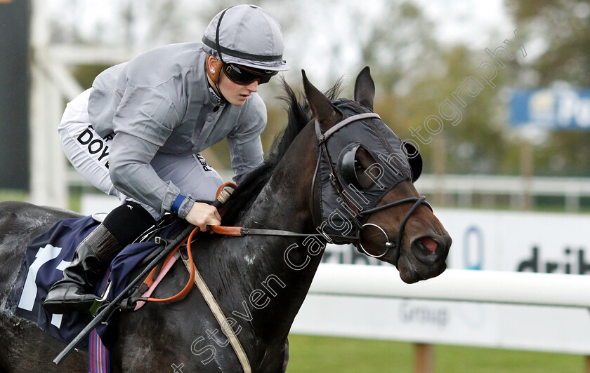 Summer-Blossom-0006 
 SUMMER BLOSSOM (Hollie Doyle) wins The Octagon Consultancy EBF Novice Stakes
Bath 17 Oct 2018 - Pic Steven Cargill / Racingfotos.com