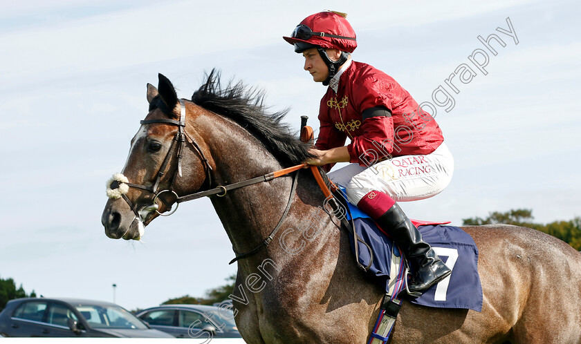 Survival-0001 
 SURVIVAL (Cieren Fallon)
Yarmouth 14 Sep 2022 - Pic Steven Cargill / Racingfotos.com