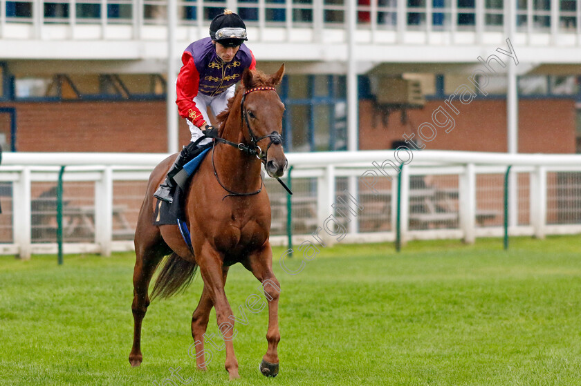 The-King s-General-0001 
 THE KING'S GENERAL (Kieran Shoemark)
Nottingham 11 Oct 2023 - Pic Steven Cargill / Racingfotos.com