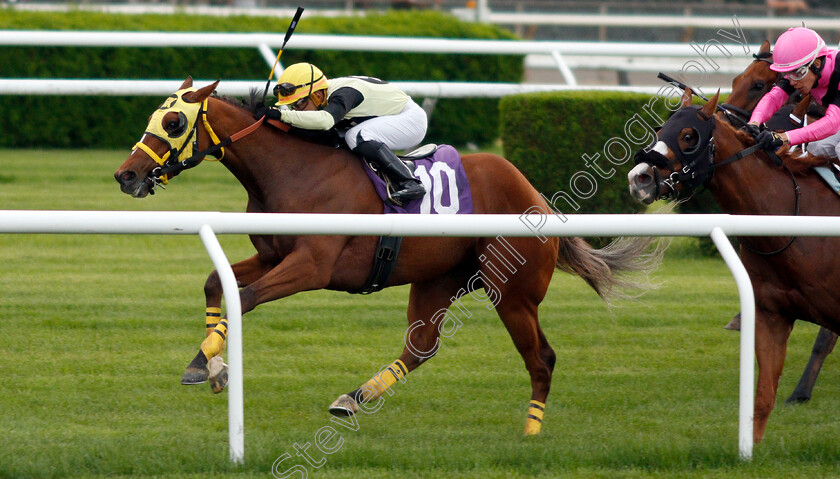 Tizanoxbow-0002 
 TIZANOXBOW (Eric Cancel) wins Maiden
Belmont Park USA, 6 Jun 2019 - Pic Steven Cargill / Racingfotos.com