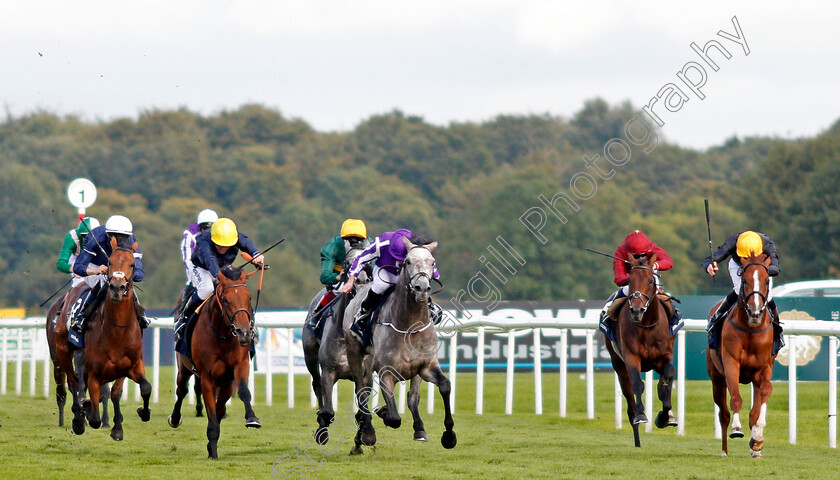 Capri-0003 
 CAPRI (centre, Ryan Moore) beats CRYSTAL OCEAN (2nd left) and STRADIVARIUS (right) in The William Hill St Leger Doncaster 16 Sep 2017 - Pic Steven Cargill / Racingfotos.com