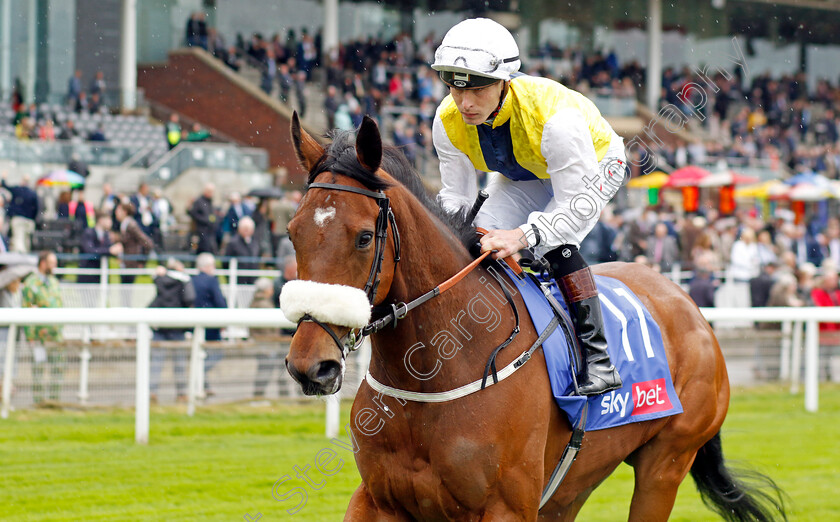 Forza-Orta 
 FORZA ORTA (Rowan Scott)
York 11 May 2022 - Pic Steven Cargill / Racingfotos.com