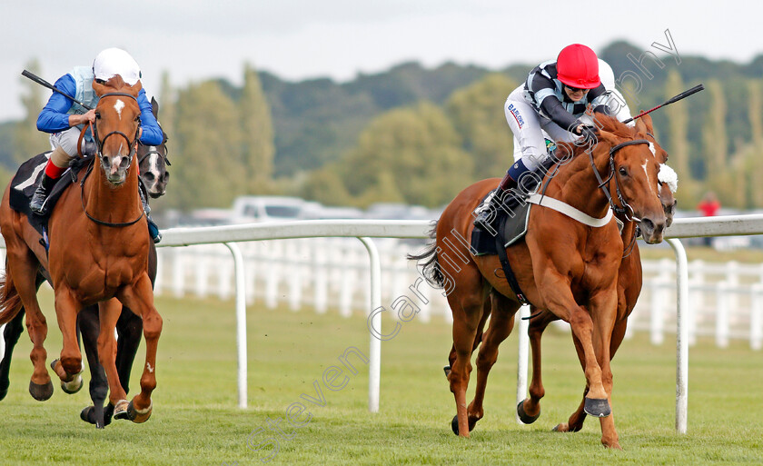 Torcello-0001 
 TORCELLO (Elisha Whittington) wins The Energy Check Handicap Div2
Newbury 17 Aug 2019 - Pic Steven Cargill / Racingfotos.com