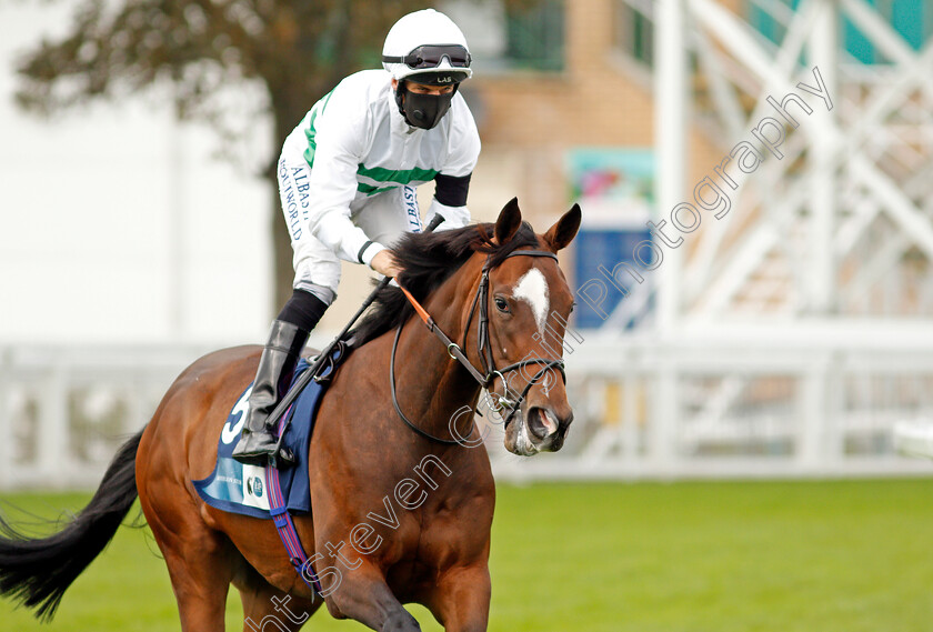 A-La-Voile-0001 
 A LA VOILE (Pat Dobbs)
Yarmouth 16 Sep 2020 - Pic Steven Cargill / Racingfotos.com