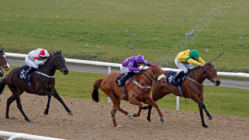 Enlightenment-0001 
 ENLIGHTENMENT (centre, Jack Mitchell) beats MISS SHIRLEY (farside) and WAVERLEY STAR (left) in The Play Coral Racing Super Series For Free Handicap
Wolverhampton 12 Mar 2022 - Pic Steven Cargill / Racingfotos.com