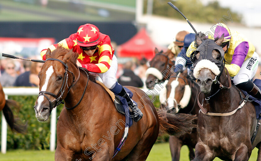 Athollblair-Boy-0001 
 ATHOLLBLAIR BOY (Izzy Clifton)
Doncaster 12 Sep 2019 - Pic Steven Cargill / Racingfotos.com