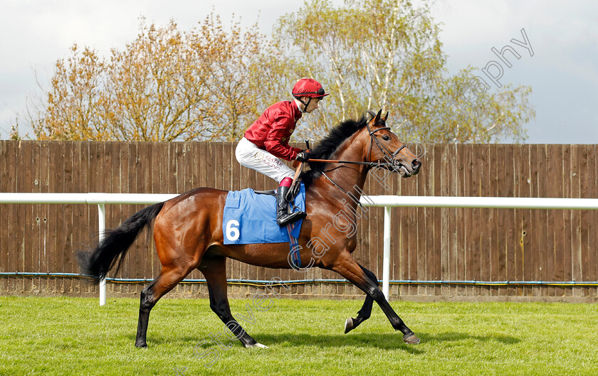 Mordor-0001 
 MORDOR (Oisin Murphy)
Leicester 29 Apr 2023 - Pic Steven Cargill / Racingfotos.com