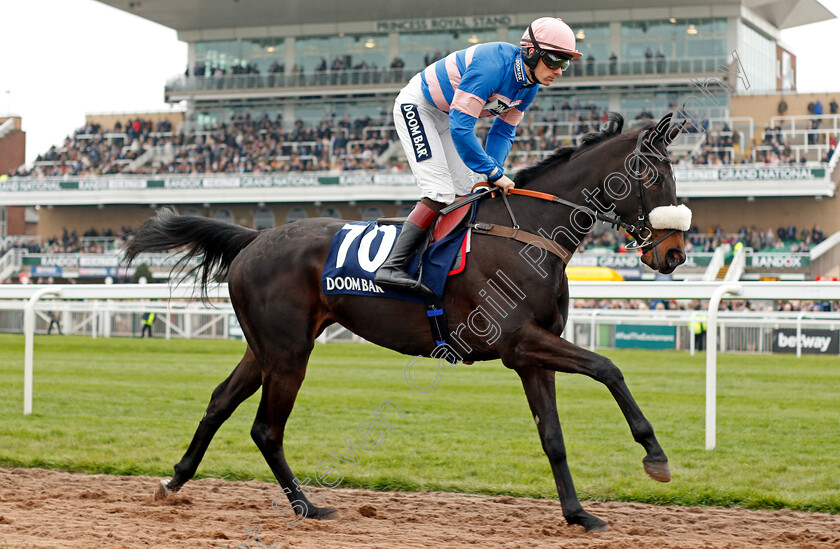 Malaya-0001 
 MALAYA (Sam Twiston-Davies) Aintree 12 Apr 2018 - Pic Steven Cargill / Racingfotos.com