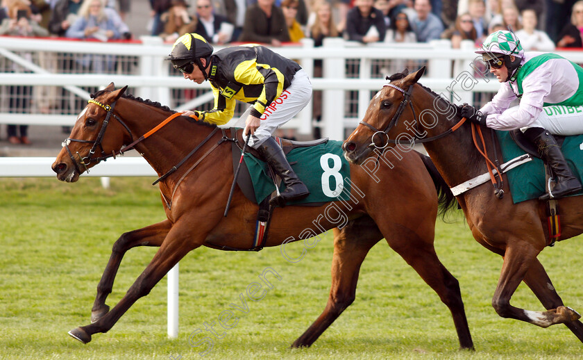 Mystic-Dreamer-0008 
 MYSTIC DREAMER (Leighton Aspell) wins The Spreadex Sports Betting Mares Standard Open National Hunt Flat Race
Cheltenham 18 Apr 2019 - Pic Steven Cargill / Racingfotos.com