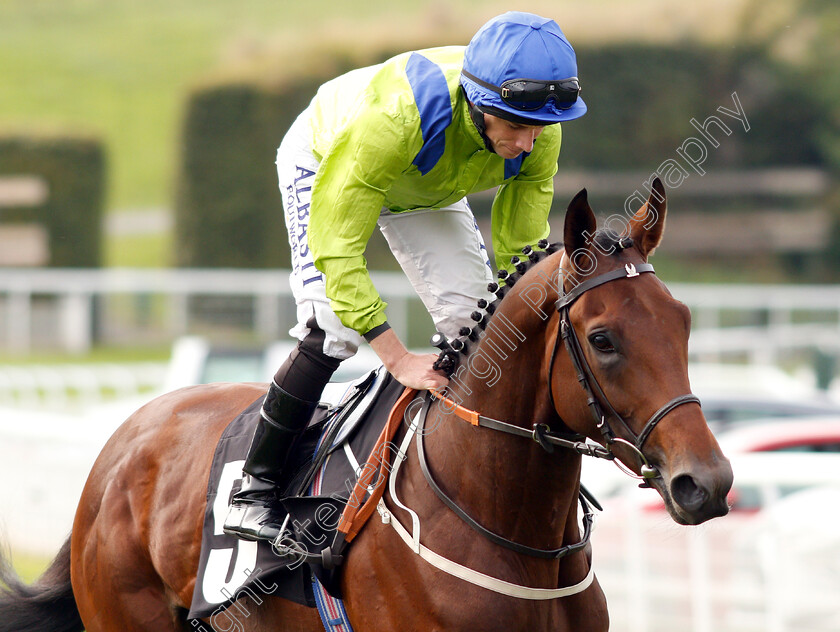 Austrian-School-0001 
 AUSTRIAN SCHOOL (Ryan Moore)
Goodwood 4 Sep 2018 - Pic Steven Cargill / Racingfotos.com