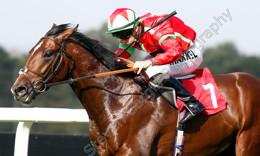 Flying-Dragon-0011 
 FLYING DRAGON (Tom Marquand) wins The Smarkets EBF Novice Stakes
Sandown 19 Sep 2018 - Pic Steven Cargill / Racingfotos.com