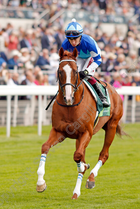 Cheval-Grand-0002 
 CHEVAL GRAND (Oisin Murphy)
York 21 Aug 2019 - Pic Steven Cargill / Racingfotos.com