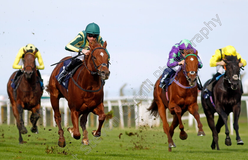 Telemark-0004 
 TELEMARK (Jack Mitchell) wins The British Stallion Studs EBF Novice Stakes
Yarmouth 16 Oct 2023 - Pic Steven Cargill / Racingfotos.com