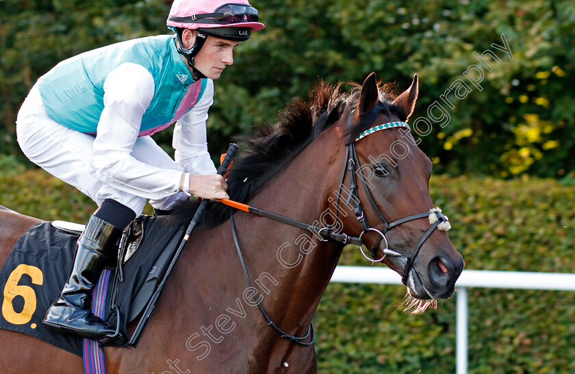 Imhotep-0001 
 IMHOTEP (Adam McNamara)
Kempton 3 Sep 2019 - Pic Steven Cargill / Racingfotos.com