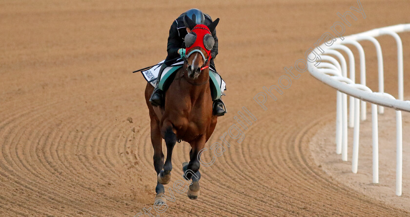 Haengbok-Wangja-0002 
 HAENGBOK WANGJA training at the Dubai World Cup Carnival
Meydan 5 Jan 2023 - Pic Steven Cargill / Racingfotos.com