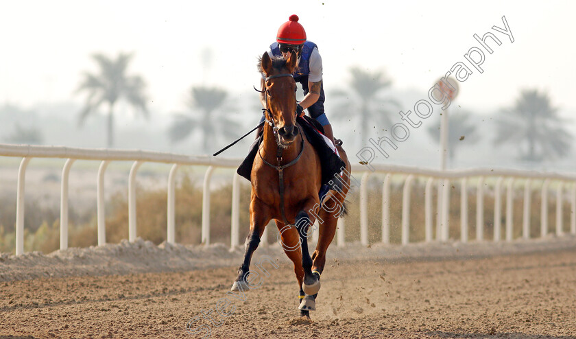 Fev-Rover-0003 
 FEV ROVER exercising in preparation for Friday's Bahrain International Trophy
Sakhir Racecourse, Bahrain 16 Nov 2021 - Pic Steven Cargill / Racingfotos.com