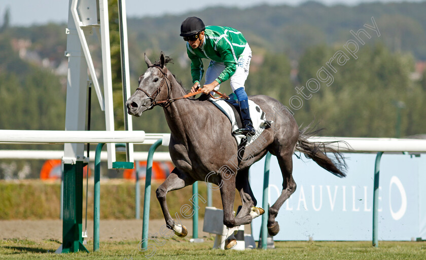 Tigrais-0002 
 TIGRAIS (A Lemaitre) wins The Prix de Falaise
Deauville 6 Aug 2022 - Pic Steven Cargill / Racingfotos.com