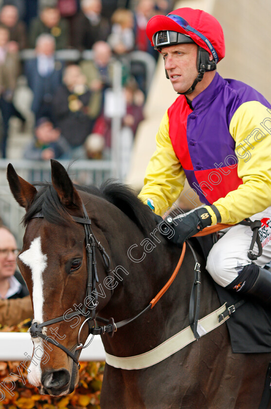 L Air-Du-Vent-0001 
 L'AIR DU VENT (Robbie Power)
Cheltenham 16 Nov 2019 - Pic Steven Cargill / Racingfotos.com