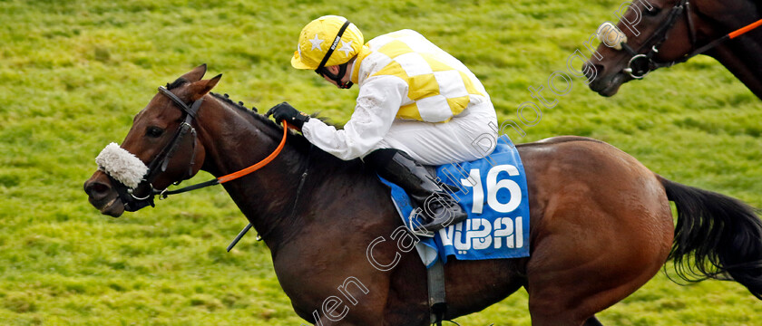 Alphonse-Le-Grande-0001 
 ALPHONSE LE GRANDE (Jamie Powell) wins The Club Godolphin Cesarewitch
Newmarket 12 Oct 2024 - Pic Steven Cargill / Racingfotos.com