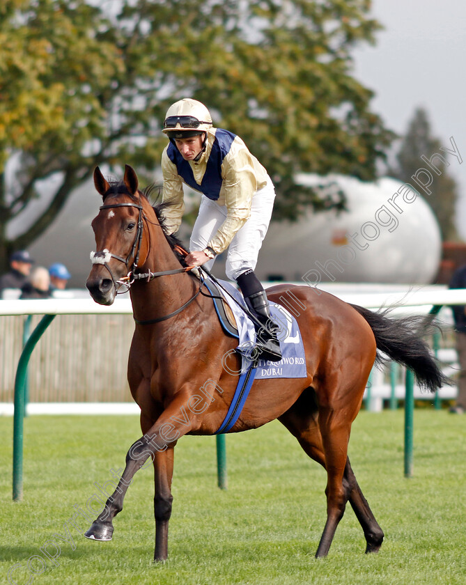 Sirona-0007 
 SIRONA (Ryan Moore) winner of The Al Basti Equiworld Dubai British EBF Rosemary Stakes
Newmarket 27 Sep 2024 - Pic Steven Cargill / Racingfotos.com