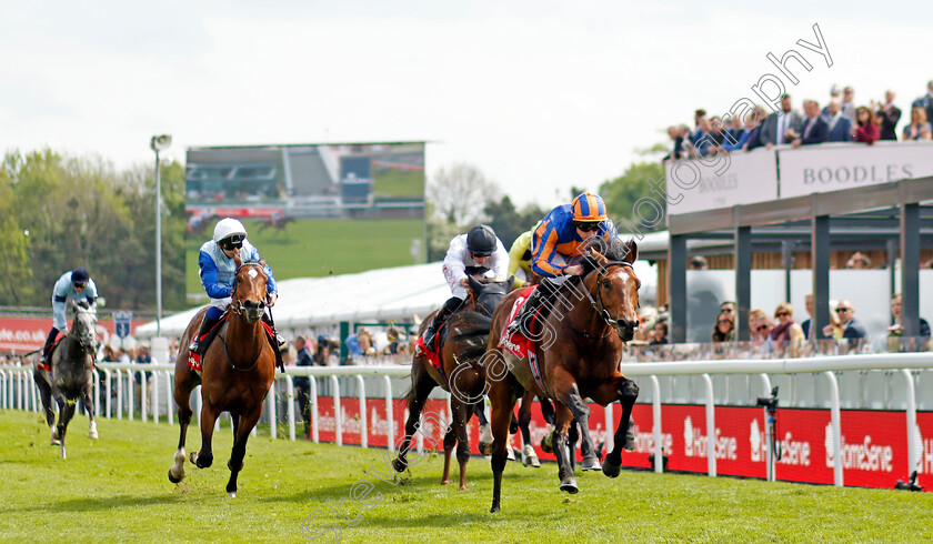 Star-Of-India-0006 
 STAR OF INDIA (Ryan Moore) wins The Homeserve Dee Stakes
Chester 5 May 2022 - Pic Steven Cargill / Racingfotos.com