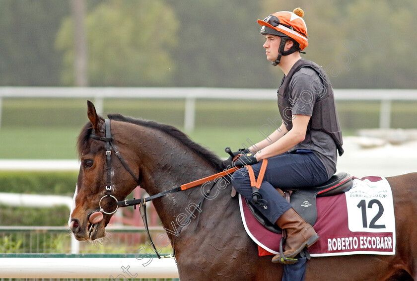 Roberto-Escobarr-0001 
 ROBERTO ESCOBARR training for The Dubai Gold Cup
Meydan Dubai 26 Mar 2024 - Pic Steven Cargill / Racingfotos.com