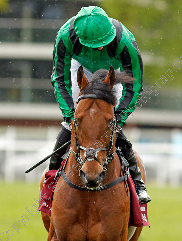 Century-Dream-0002 
 CENTURY DREAM (James Doyle)
Newbury 15 May 2021 - Pic Steven Cargill / Racingfotos.com