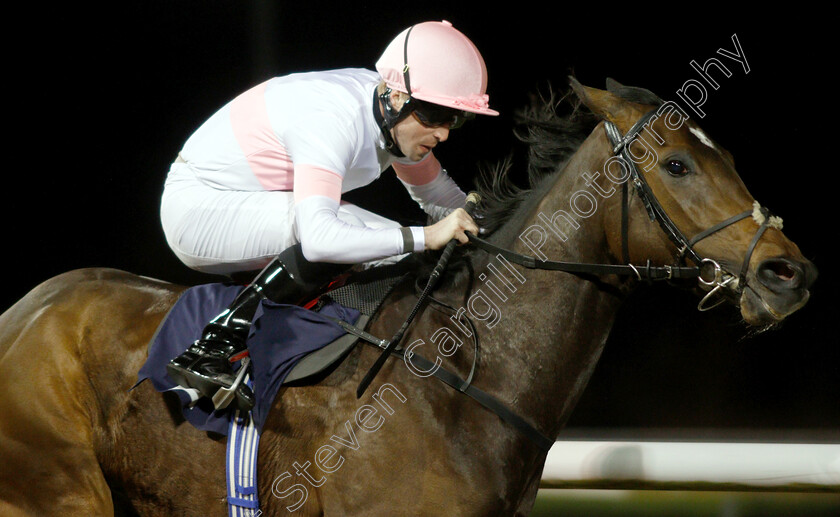 Given-Choice-0005 
 GIVEN CHOICE (Jack Mitchell) wins The Betway Live Casino Handicap
Wolverhampton 7 Jan 2019 - Pic Steven Cargill / Racingfotos.com