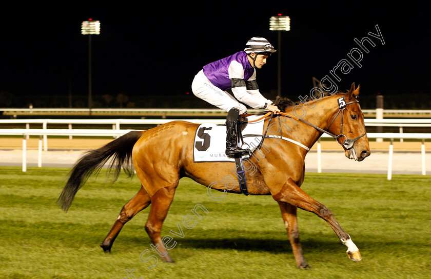 Born-To-Be-Alive-0001 
 BORN TO BE ALIVE (Colm O'Donoghue) Meydan 18 Jan 2018 - Pic Steven Cargill / Racingfotos.com