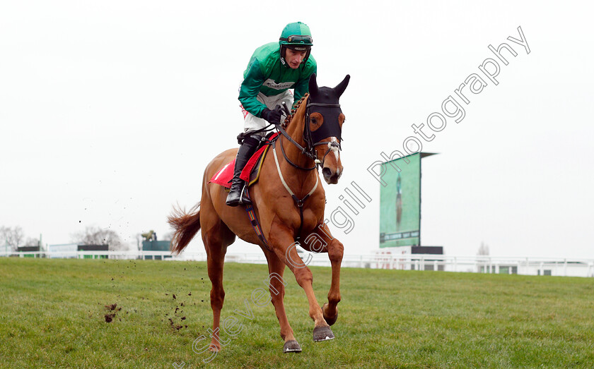 Torpillo-0001 
 TORPILLO (Daryl Jacob) winner of The Unibet Juvenile Hurdle
Sandown 5 Jan 2019 - Pic Steven Cargill / Racingfotos.com