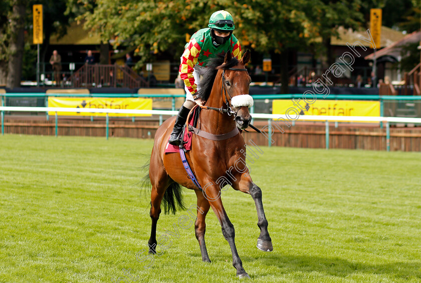 Lightly-Squeeze-0001 
 LIGHTLY SQUEEZE (Sean Bowen)
Haydock 4 Sep 2020 - Pic Steven Cargill / Racingfotos.com