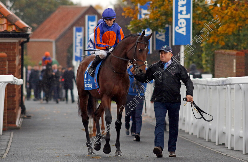 Rock-Of-Cashel-0001 
 ROCK OF CASHEL (Wayne Lordan)
Newmarket 12 Oct 2024 - Pic Steven Cargill / Racingfotos.com