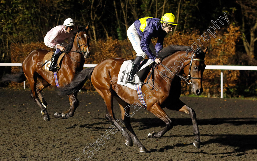 Noble-Horizon-0001 
 NOBLE HORIZON (Richard Kingscote)
Kempton 4 Dec 2024 - Pic Steven Cargill / Racingfotos.com