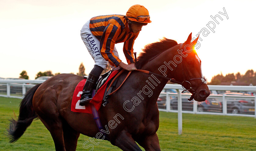 Dancing-Harry-0002 
 DANCING HARRY (Ryan Moore) winner of The Owen Williams Handicap
Sandown 21 Jul 2021 - Pic Steven Cargill / Racingfotos.com