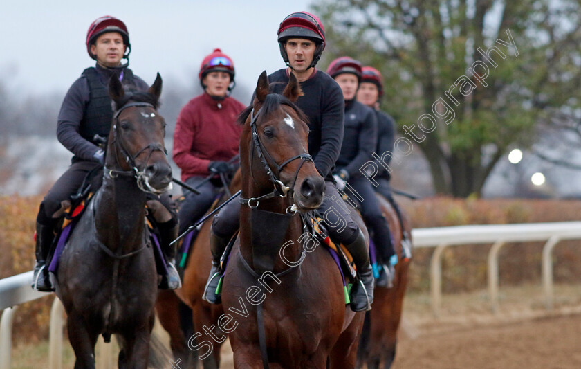 Order-Of-Australia-0002 
 ORDER OF AUSTRALIA leads the Aidan O'Brien string training for the Breeders' Cup 
Keeneland USA 1 Nov 2022 - Pic Steven Cargill / Racingfotos.com