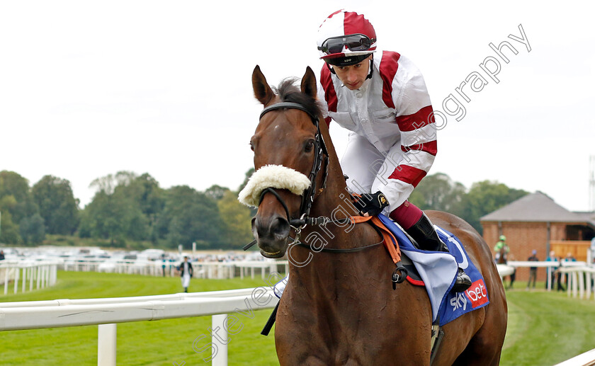 Intrinsic-Bond-0001 
 INTRINSIC BOND (Oisin Murphy)
York 23 Aug 2023 - Pic Steven Cargill / Racingfotos.com