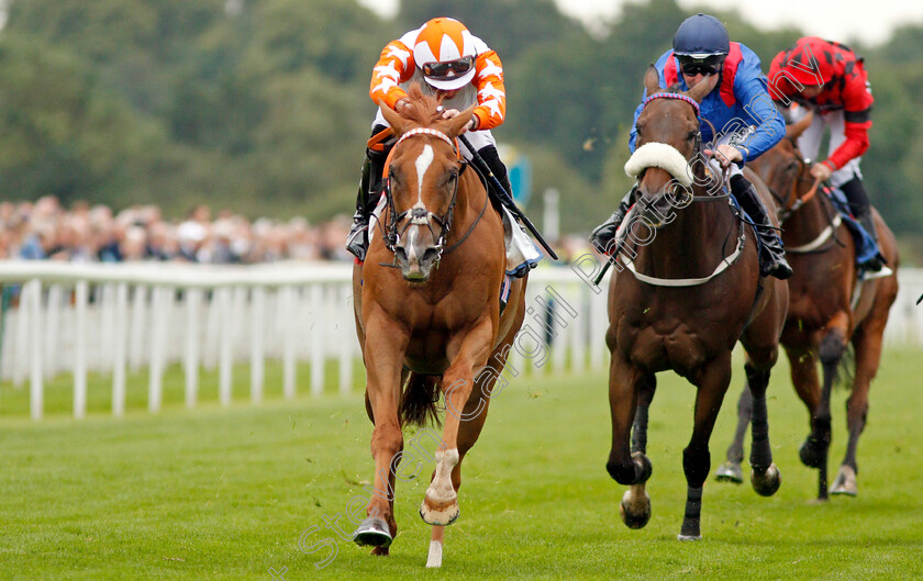 Eddystone-Rock-0002 
 EDDYSTONE ROCK (James Doyle) wins The Sky Bet Handicap
York 21Aug 2019 - Pic Steven Cargill / Racingfotos.com