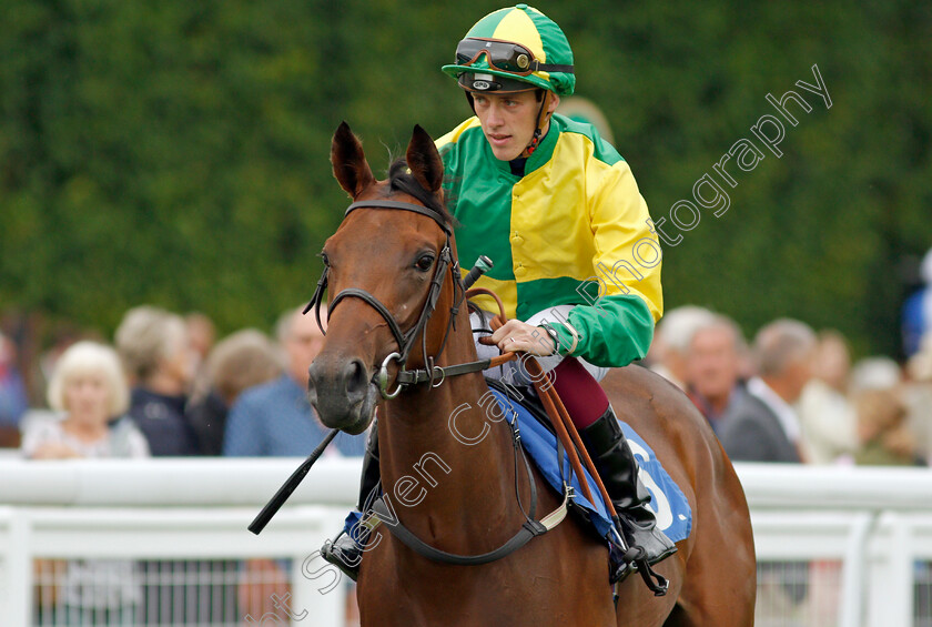 Romantic-Memories-0001 
 ROMANTIC MEMORIES (George Downing)
Salisbury 12 Aug 2021 - Pic Steven Cargill / Racingfotos.com