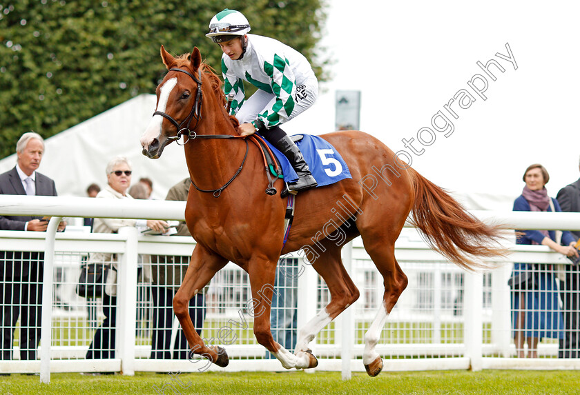 Halima-Hatun-0001 
 HALIMA HATUM (Tom Marquand) Salisbury 7 Sep 2017 - Pic Steven Cargill / Racingfotos.com