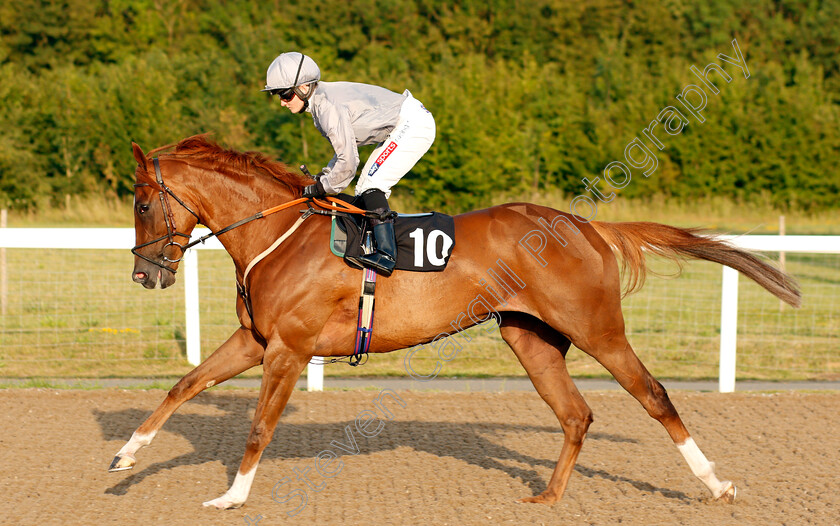 Rapture-0002 
 RAPTURE (Hollie Doyle)
Chelmsford 23 Jul 2019 - Pic Steven Cargill / Racingfotos.com