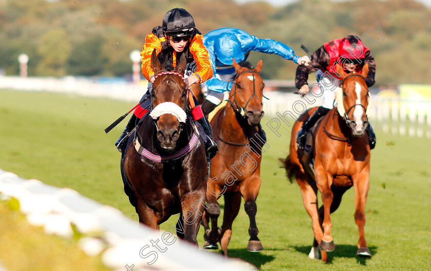 Saaheq-0003 
 SAAHEQ (David Egan) wins The 1stsecuritysolutions.co.uk Handicap
Doncaster 12 Sep 2018 - Pic Steven Cargill / Racingfotos.com