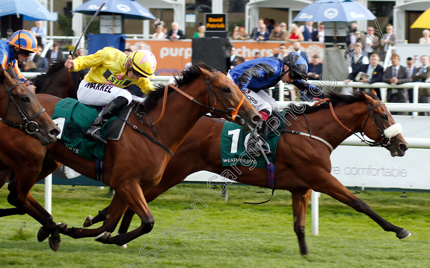 The-Great-Heir-0004 
 THE GREAT HEIR (right, Andrew Mullen) beats DIRTY RASCAL (left) in The Weatherbys Racing Bank £300,000 2-y-o Stakes
Doncaster 13 Sep 2018 - Pic Steven Cargill / Racingfotos.com