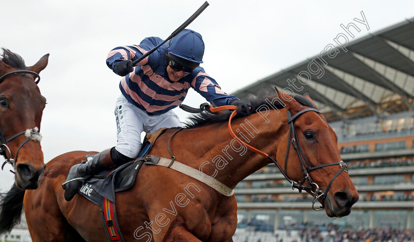 Benatar-0006 
 BENATAR (Jamie Moore) wins The Mitie Noel Novices Chase Ascot 22 Dec 2017 - Pic Steven Cargill / Racingfotos.com