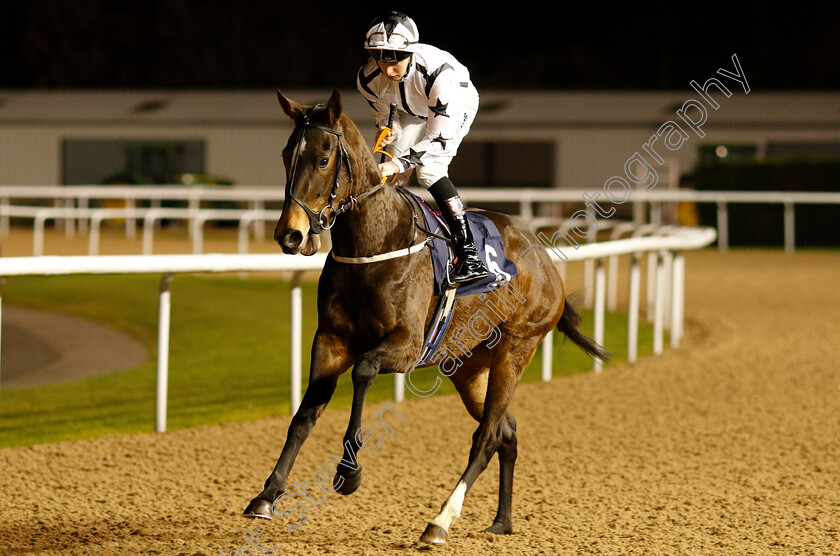 Tails-I-Win-0002 
 TAILS I WIN (Ben Sanderson)
Wolverhampton 7 Jan 2019 - Pic Steven Cargill / Racingfotos.com