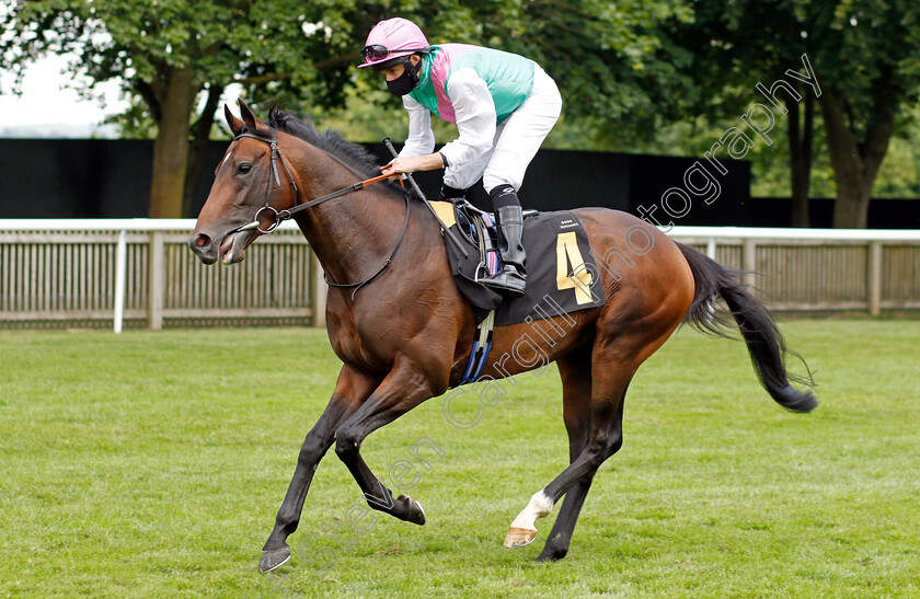 Maximal-0001 
 MAXIMAL (Ryan Moore)
Newmarket 8 Jul 2021 - Pic Steven Cargill / Racingfotos.com