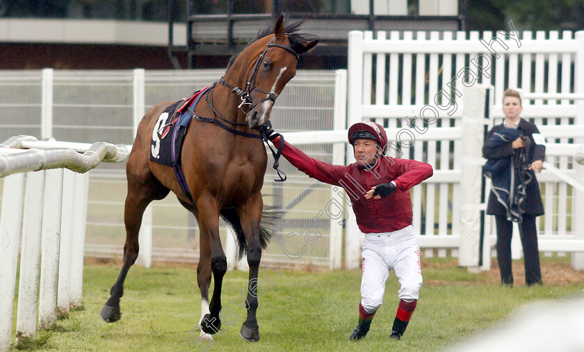 To-The-Moon-and-Frankie-Dettori-0003 
 FRANKIE DETTORI is unseated from TO THE MOON before the 2nd race
Newbury 13 Jun 2019 - Pic Steven Cargill / Racingfotos.com