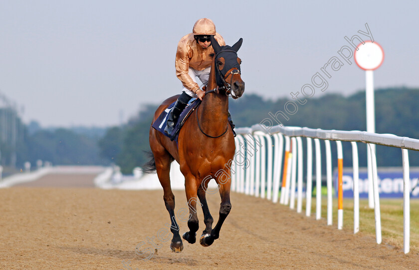 Ad-Infinitum-0002 
 AD INFINITUM (Connor Beasley)
Newcastle 24 Jun 2022 - Pic Steven Cargill / Racingfotos.com