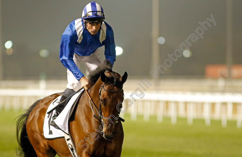 Moqtarreb-0007 
 MOQTARREB (Dane O'Neill) winner of The Valley Handicap
Meydan, Dubai 3 Feb 2023 - Pic Steven Cargill / Racingfotos.com